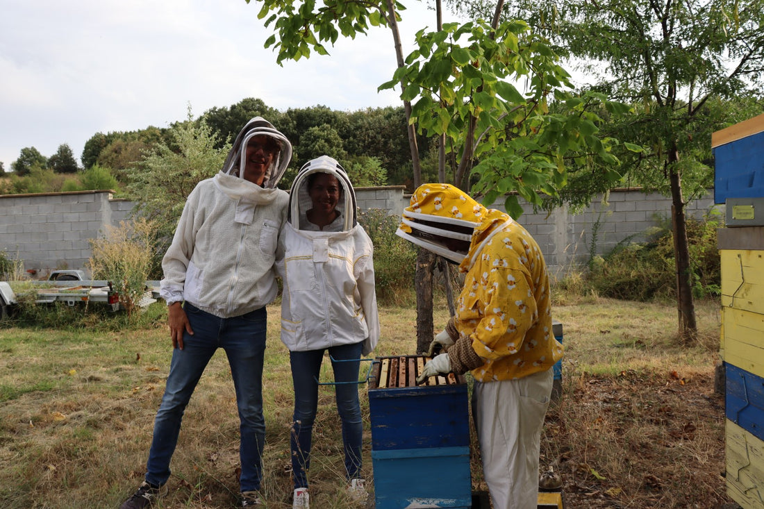Becoming an Organic Beekeeper in the EU: An Informative Journey of Requirements
